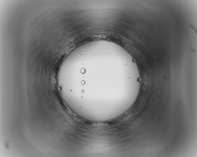 X0000103280707200808291046