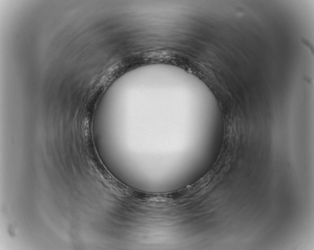 X0000103280708200808291046