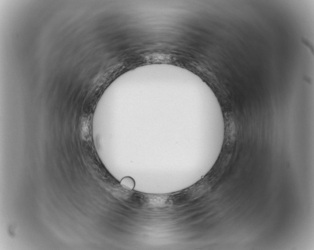 X0000103280709200808291046