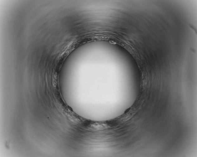 X0000103280712200808291046