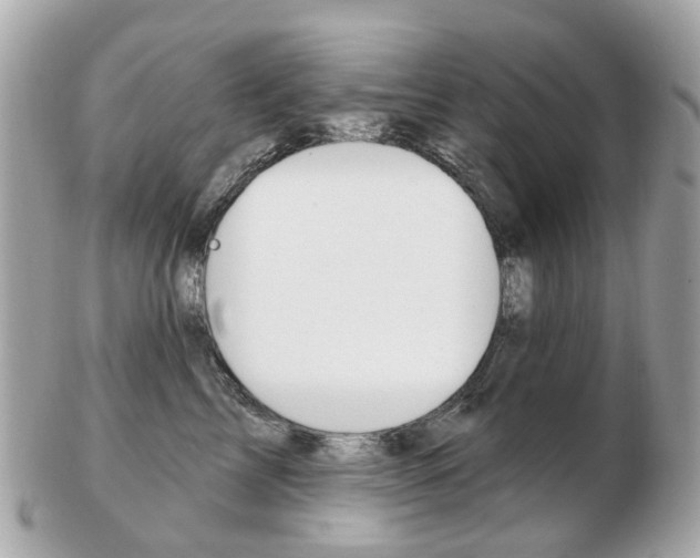 X0000103280713200808291045