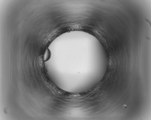 X0000103280715200808291045