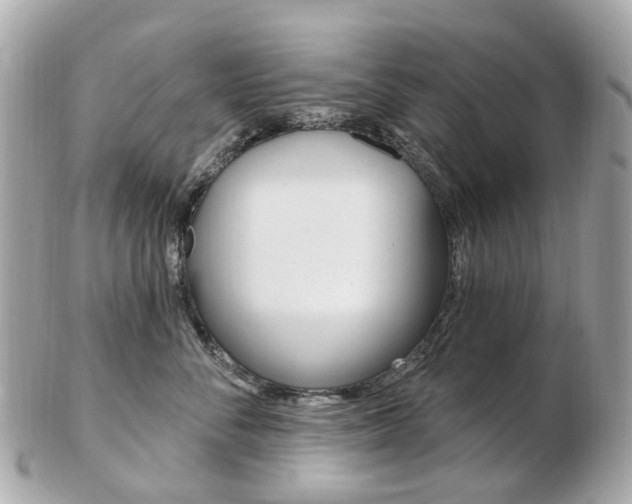X0000103280716200808291045