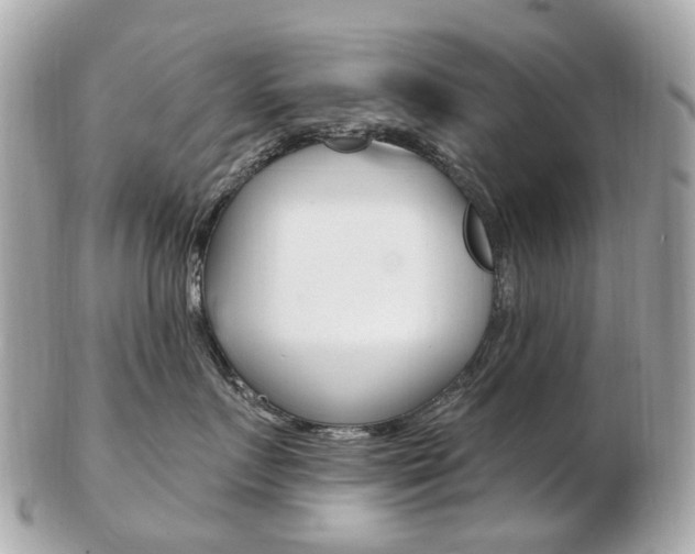 X0000103280719200808291045