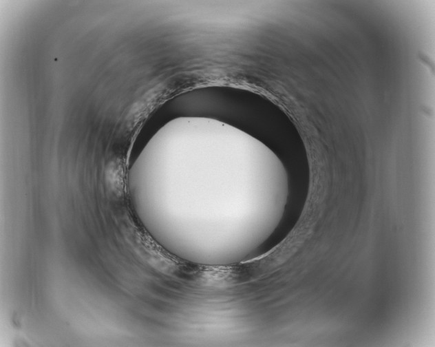 X0000103280720200808291045
