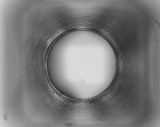 X0000103280721200808291045