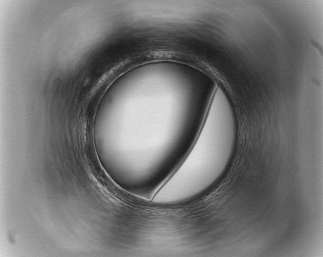 X0000103280722200808291045