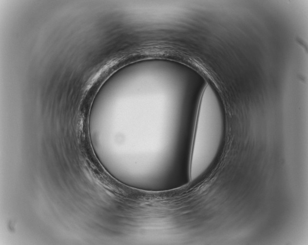 X0000103280723200808291045