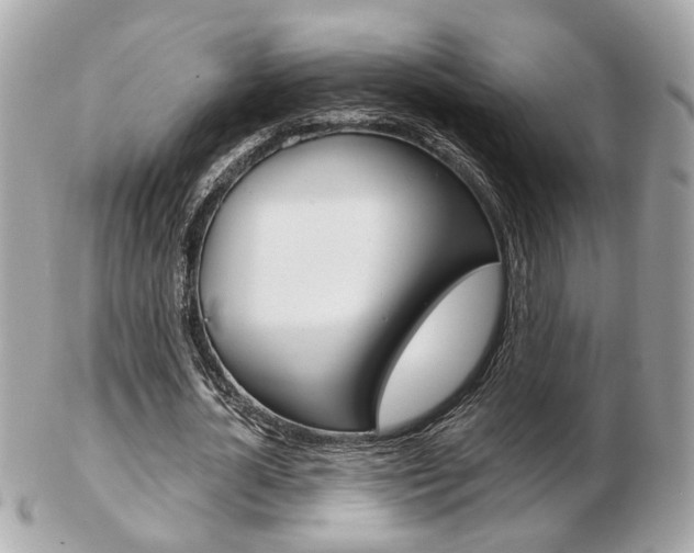 X0000103280724200808291045