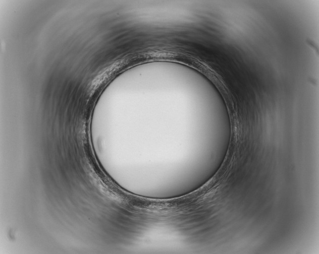 X0000103280725200808291045