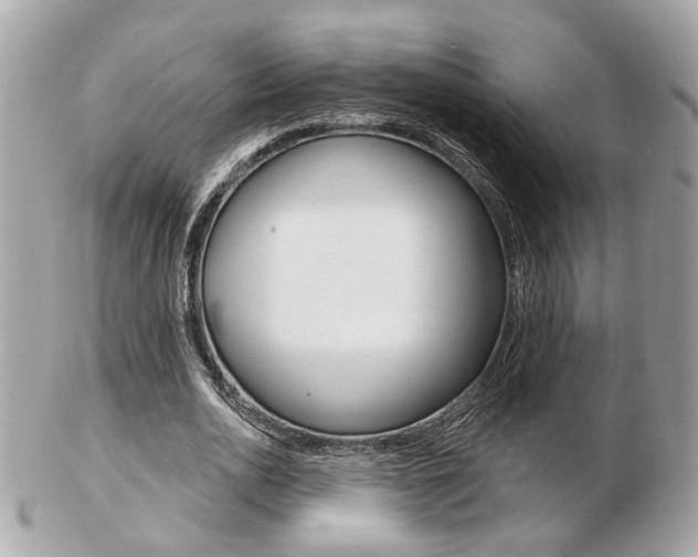 X0000103280726200808291045