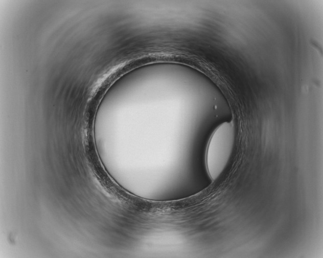 X0000103280728200808291045