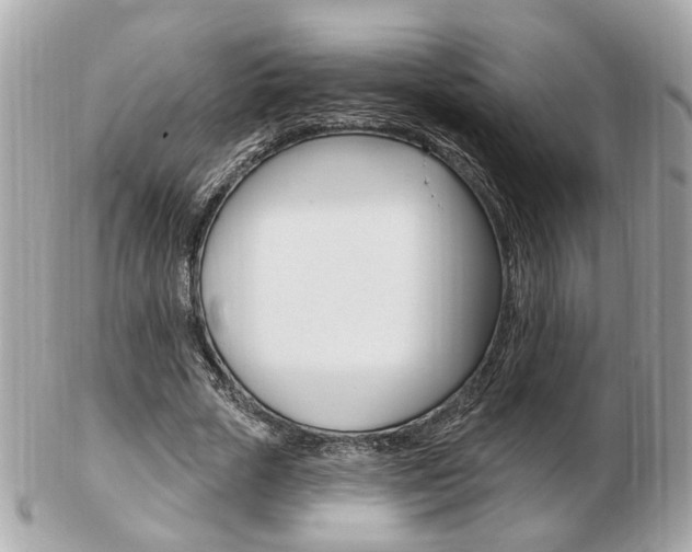 X0000103280729200808291045