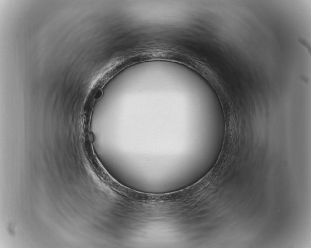 X0000103280730200808291045