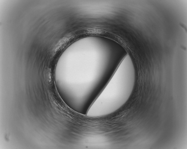 X0000103280731200808291045