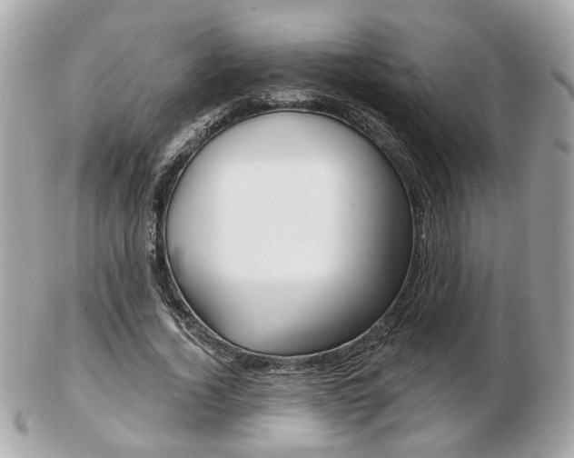 X0000103280732200808291045