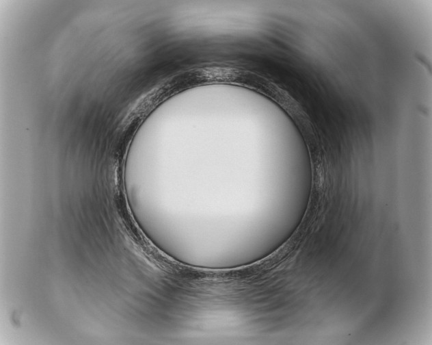 X0000103280733200808291045