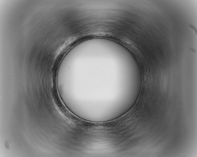 X0000103280734200808291045