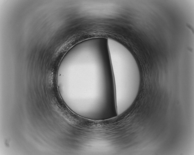 X0000103280735200808291045