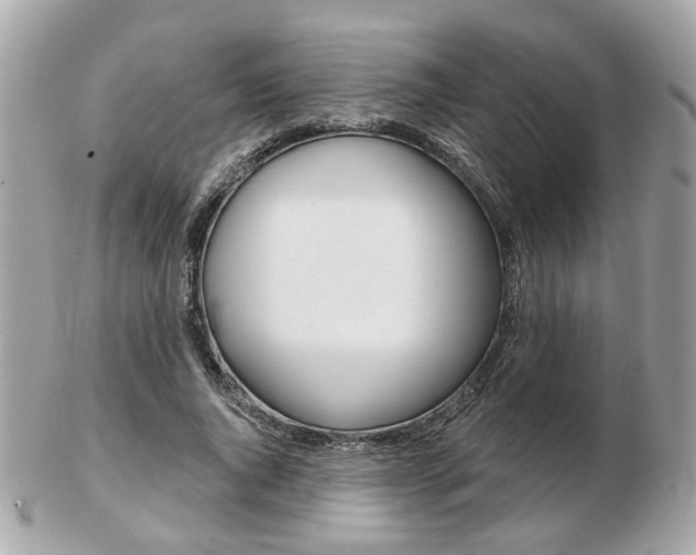 X0000103280736200808291045