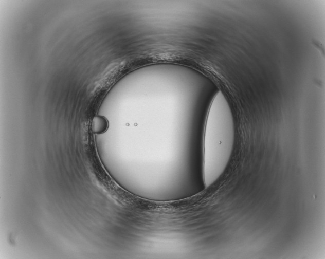 X0000103280738200808291045