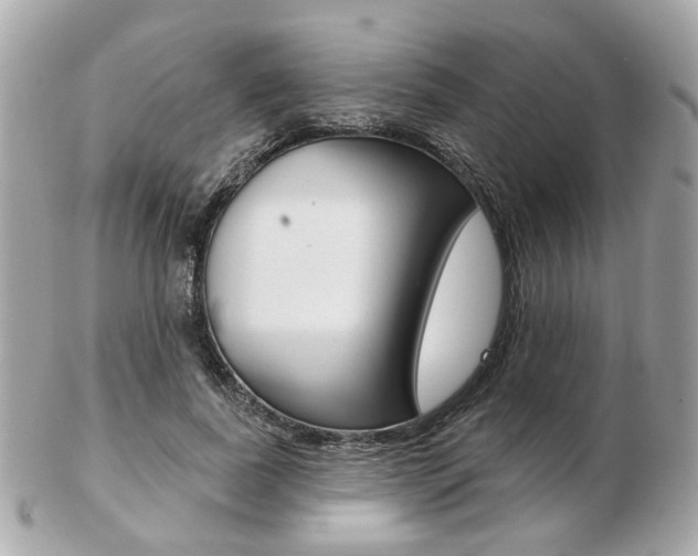 X0000103280739200808291045