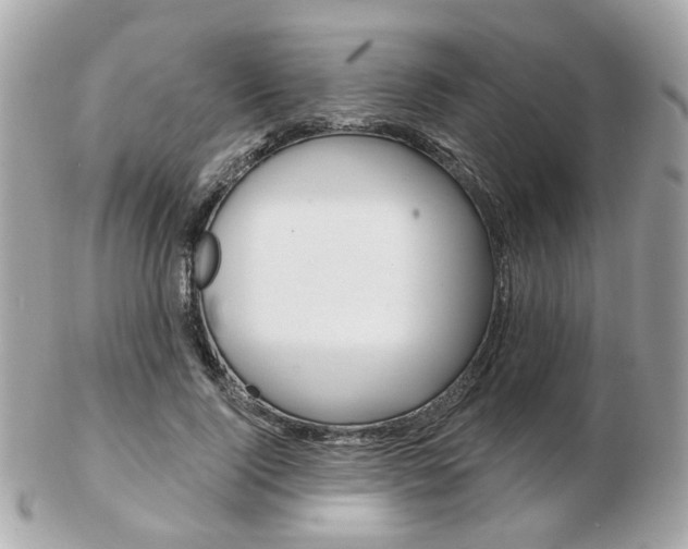 X0000103280740200808291045