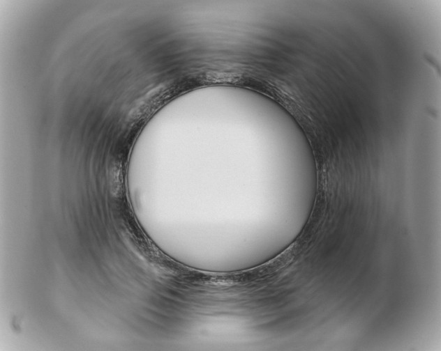 X0000103280741200808291045