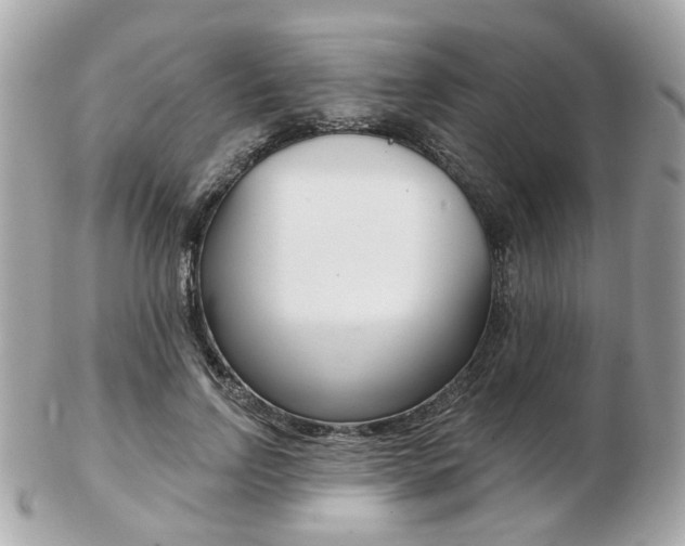 X0000103280742200808291045