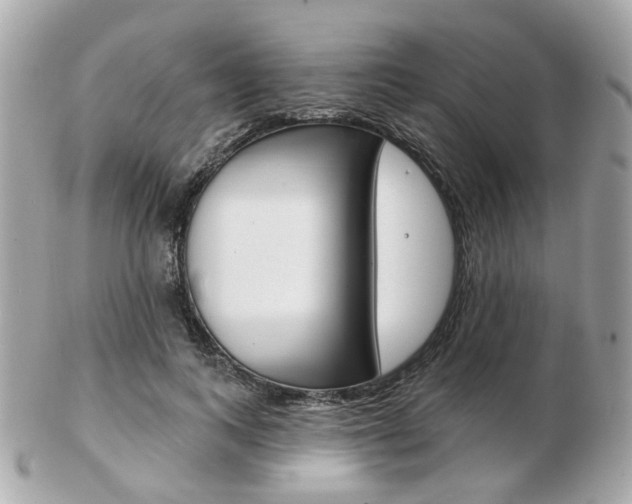 X0000103280743200808291045