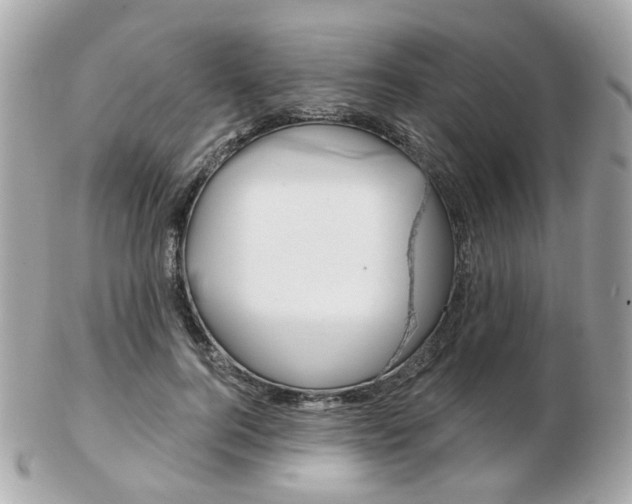 X0000103280744200808291045