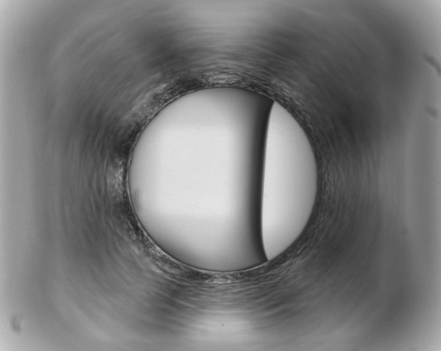 X0000103280745200808291045