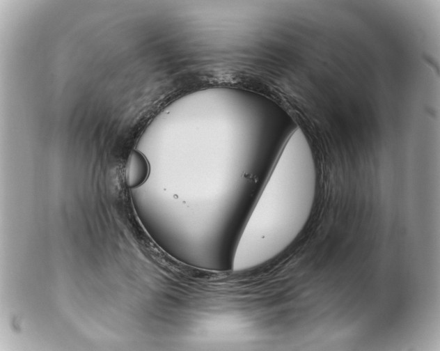 X0000103280747200808291045