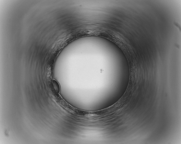 X0000103280748200808291045