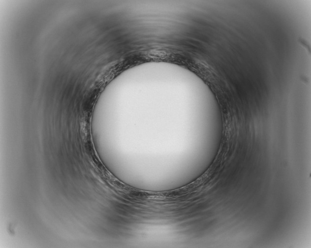X0000103280749200808291045