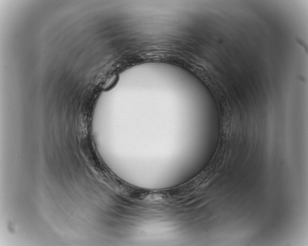 X0000103280751200808291045