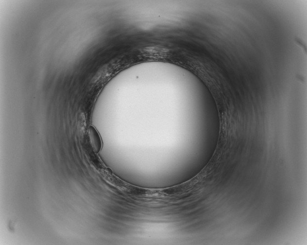 X0000103280752200808291045