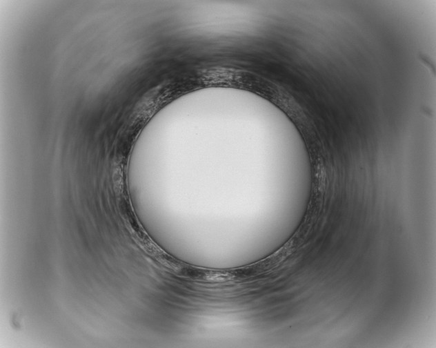 X0000103280753200808291045