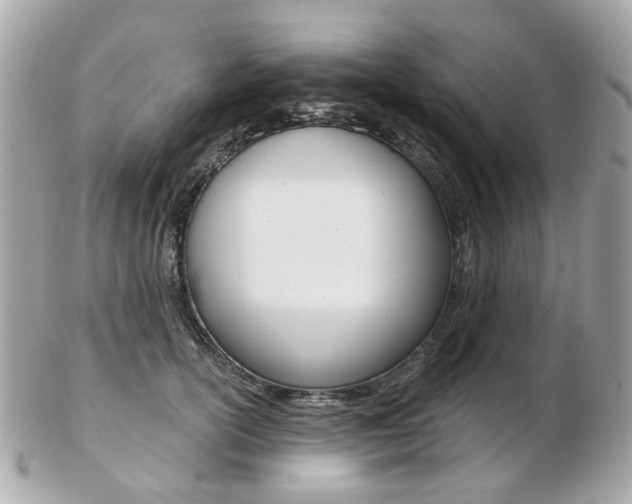 X0000103280754200808291045
