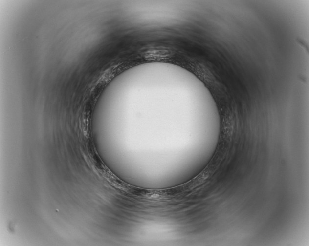 X0000103280755200808291045