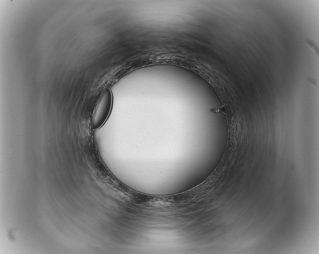 X0000103280756200808291045