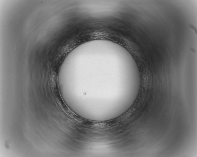 X0000103280757200808291045