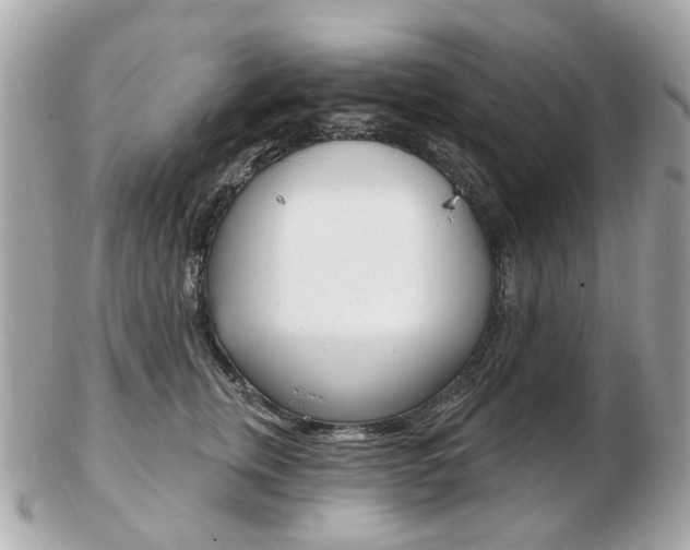 X0000103280759200808291045