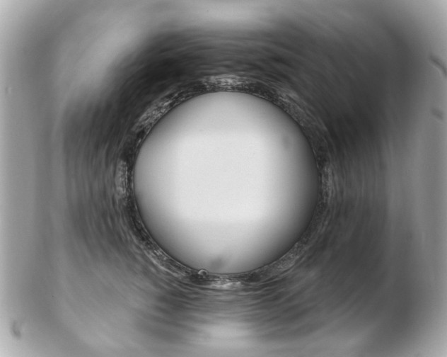 X0000103280760200808291045