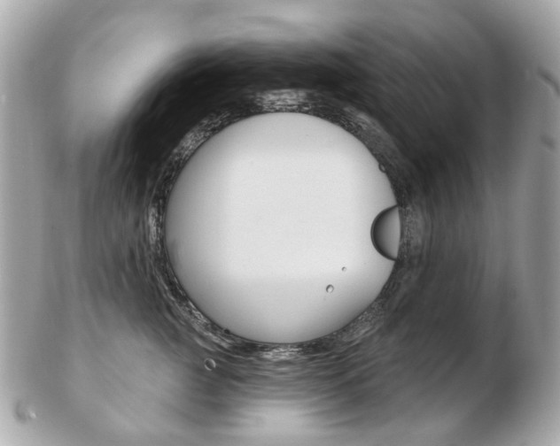 X0000103280761200808291045