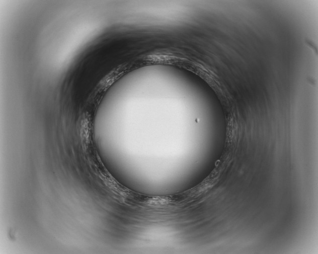 X0000103280762200808291045