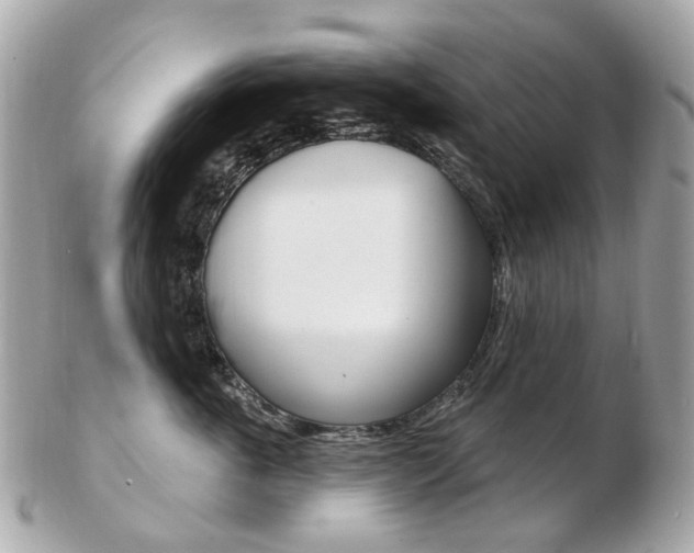 X0000103280763200808291045