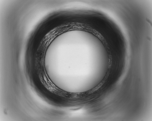 X0000103280765200808291045