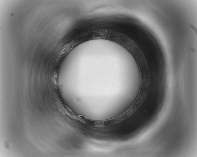 X0000103280766200808291045