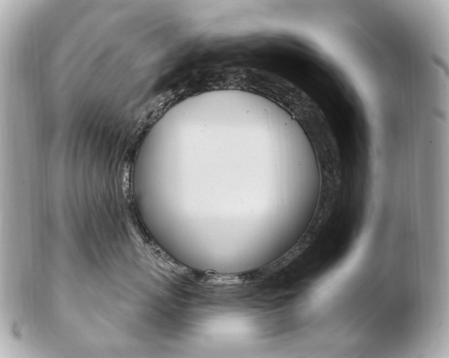 X0000103280767200808291045